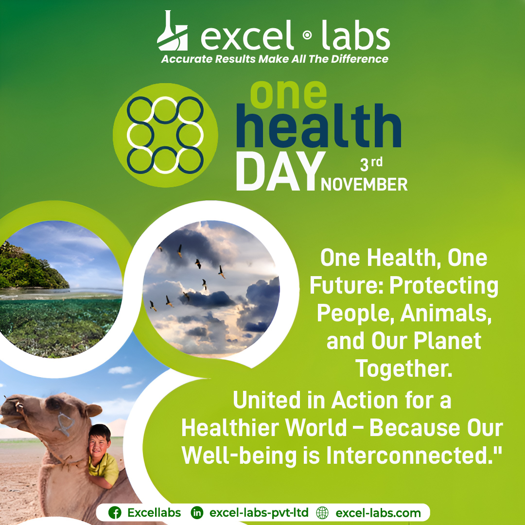ExcelLabspk's tweet photo. This #OneHealthDay, let’s recognize the vital connection between human, animal, and environmental health. By working together, we can build a healthier, more sustainable world for all. Protecting one protects all! #ExcelLabs #OneHealth #SustainableHealth #Healthcarejobs https://t.co/KSVjRBgfYn