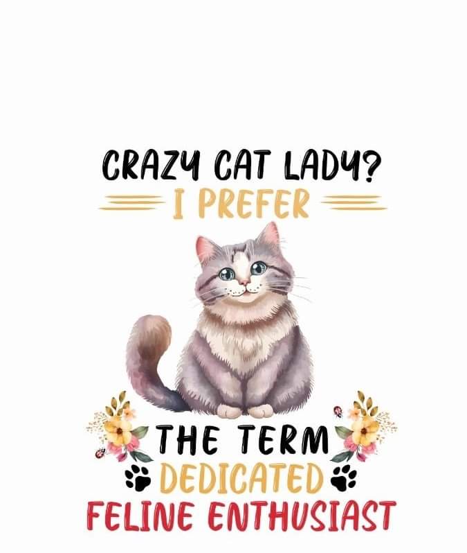 ReadingIsOurPas's tweet image. Happy #F9 #SpyCats #Caturday wishes dear Nina and friends ❤️