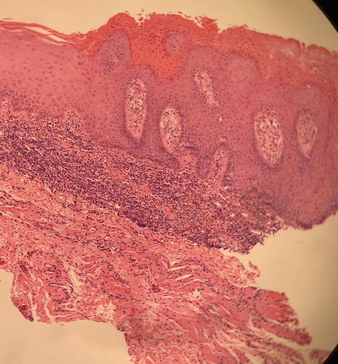 عبدالله tweet media