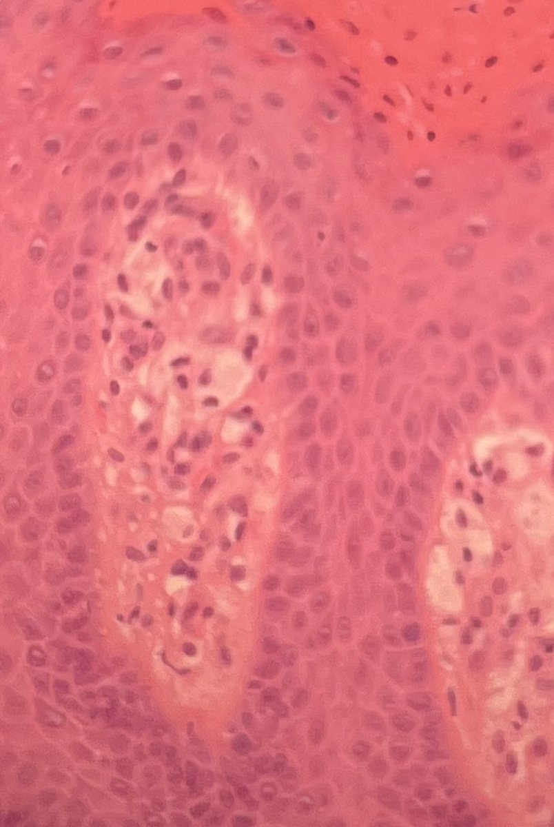 عبدالله tweet media