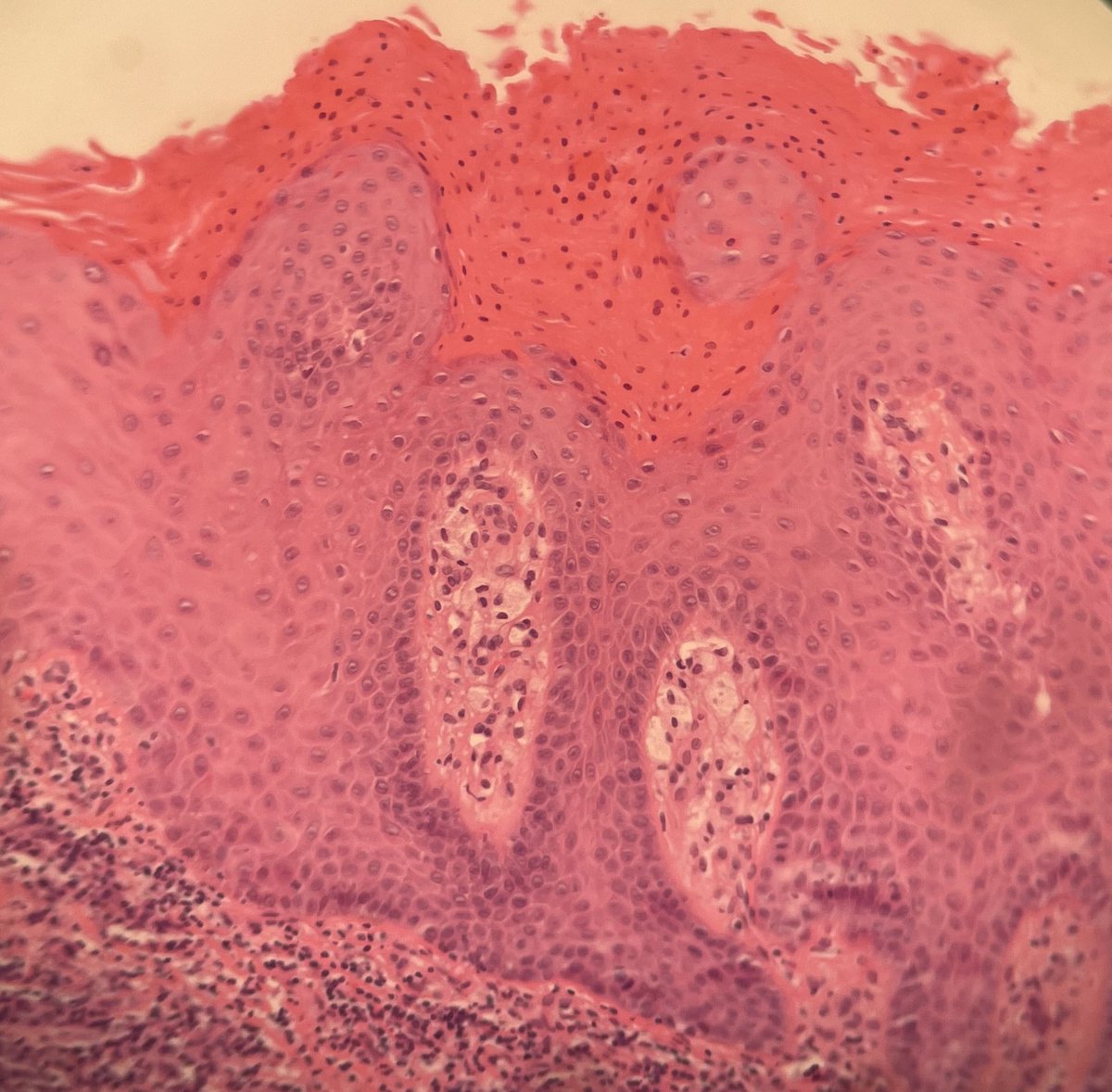 عبدالله tweet media