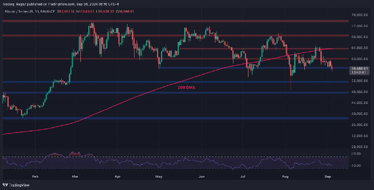 NBTC_finance's tweet photo. This Support Level Will Determine Whether BTC Will Fall to $52K or Rise to $60K: Bitcoin Price Analysis

https://t.co/Ty5hyuGqYg
#CryptoMarketTrends #TechnicalAnalysis #BearishBitcoin #ShortTermInvestors #MarketDynamics #Crypto #Bitcoin #NBTC https://t.co/OHo7cWUN0E