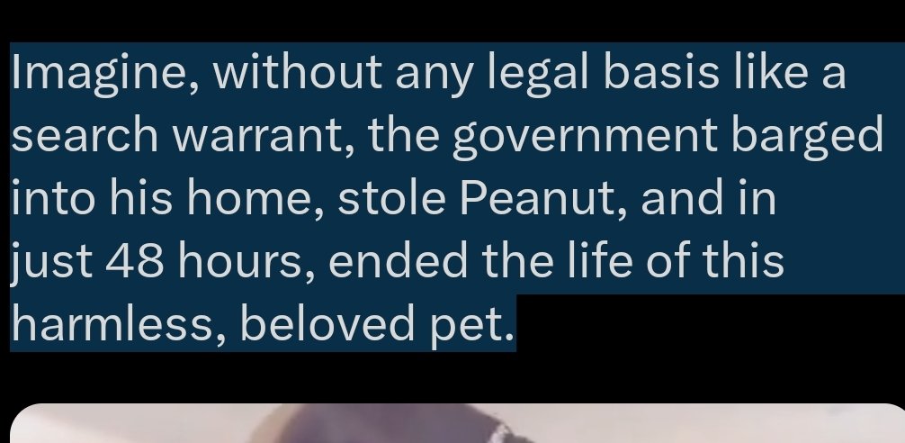 Sgt. Stumpy tweet media