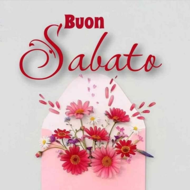 RITABIANCHi56 tweet media