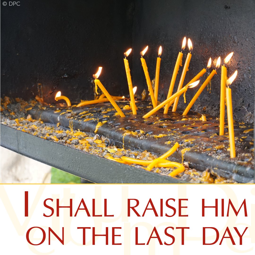 Vatican News tweet media