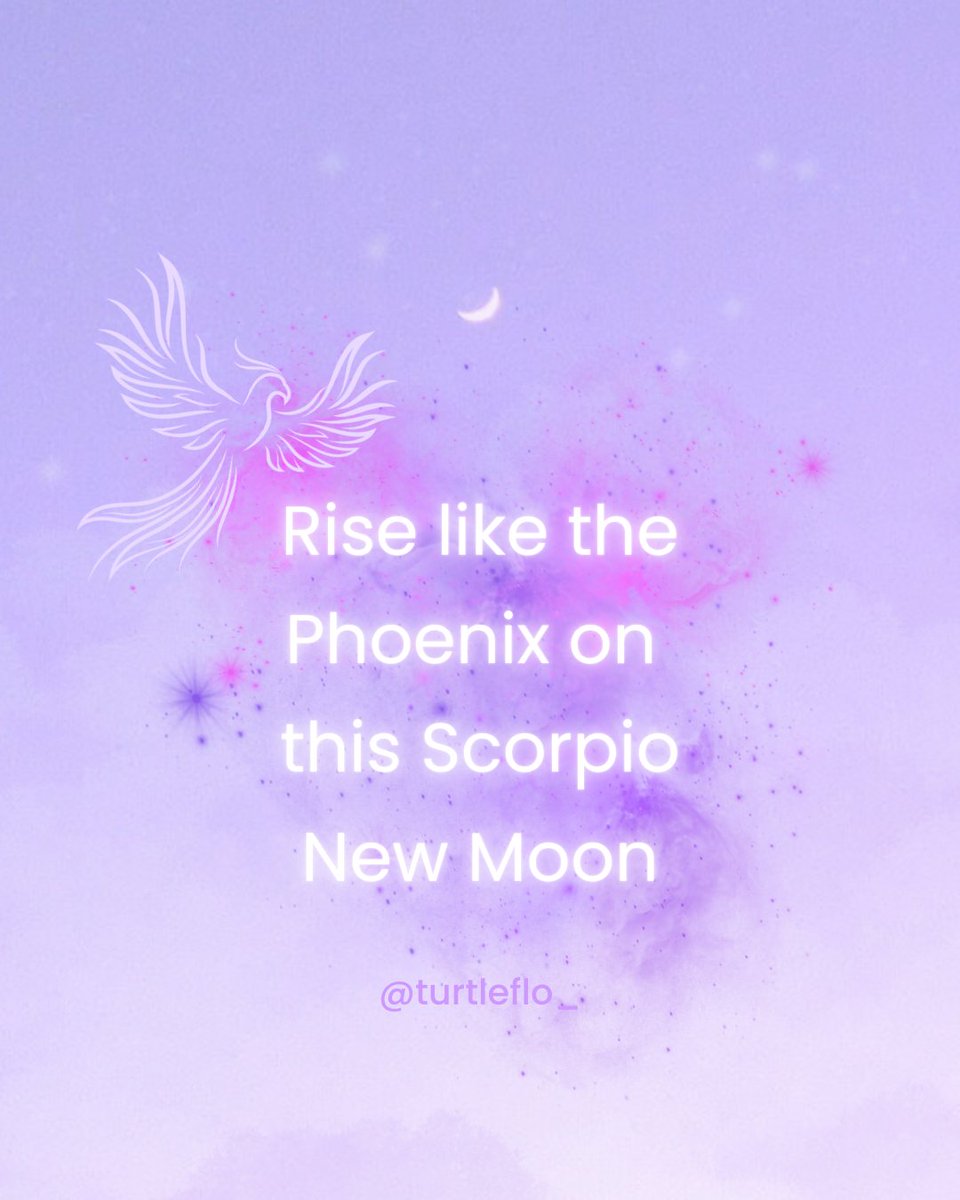 TurtleFlo_'s tweet image. Scorpio New Moon! 🌙✨

Let passion &amp;amp; joy guide your new moon intention.

It's a great time to connect to ur intuition, creativity, ancestral wisdom &amp;amp; the natural cycle of rebirth to rise from the ashes like the Phoenix.

Honor ur emotions &amp;amp; shine your light from within.

#moon