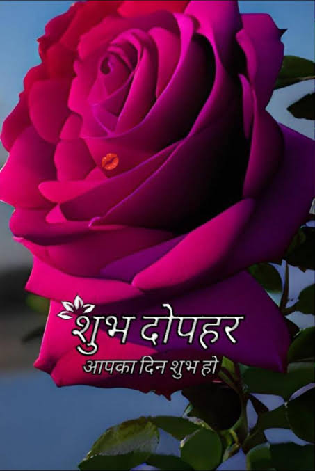 शुभ दोपहर दोस्तों 🌞 
आप सभी का दिन मंगलमय हों 😊 
      🌺🌺 जय श्री राधे कृष्णा 🌺🌺