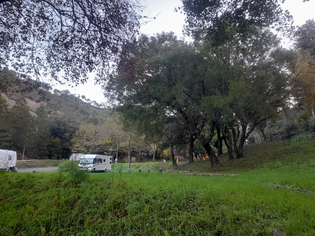 LongWalk2024's tweet photo. Day 31

Good morning #lesmees 

Last night I was on a campsite and the owners are fantastic, clean, tidy site with all you need while you are here. 

If you ever coming to the South of France 🇫🇷 search this 👇

Camping La pinède des Mées

@bethanychtrust

https://t.co/r9UttnrnJG https://t.co/dLHjacJ56P