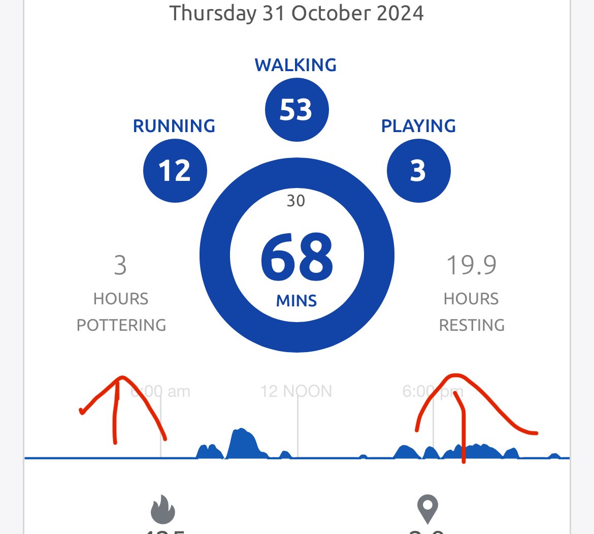 Oliver Thorne tweet media