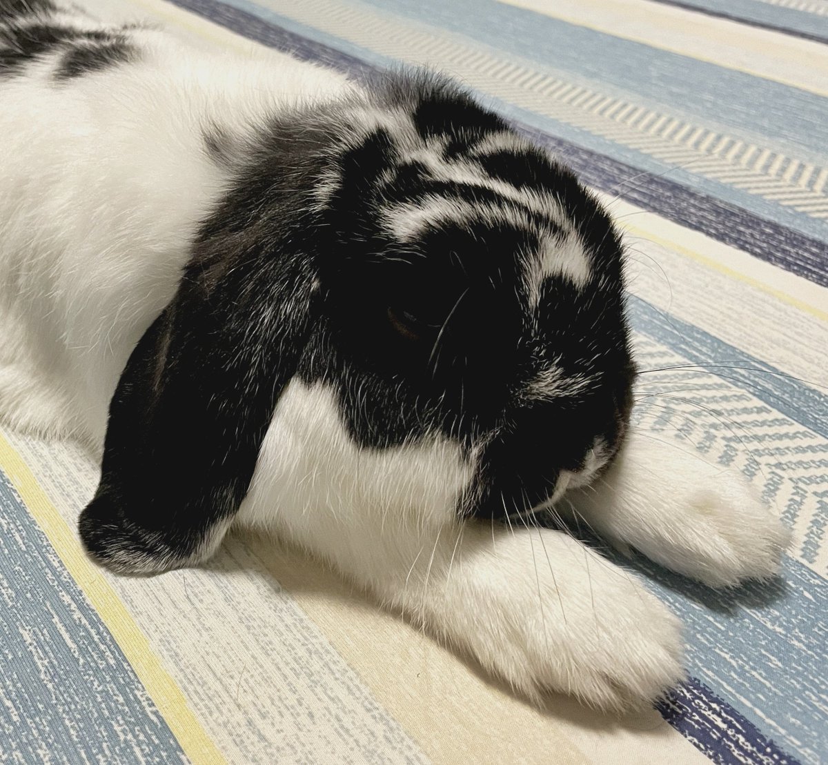 昨日の写真ずっと見てる
おててかわいい