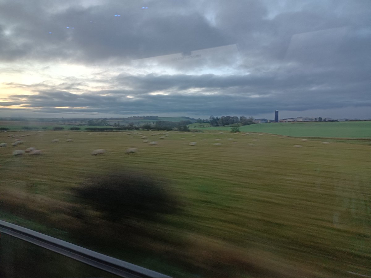 FrenchFlashpointFan tweet media