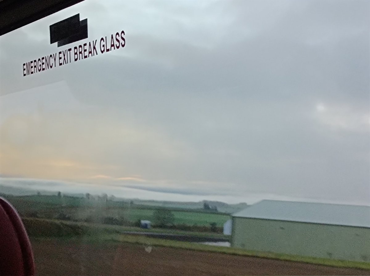 FrenchFlashpointFan tweet media