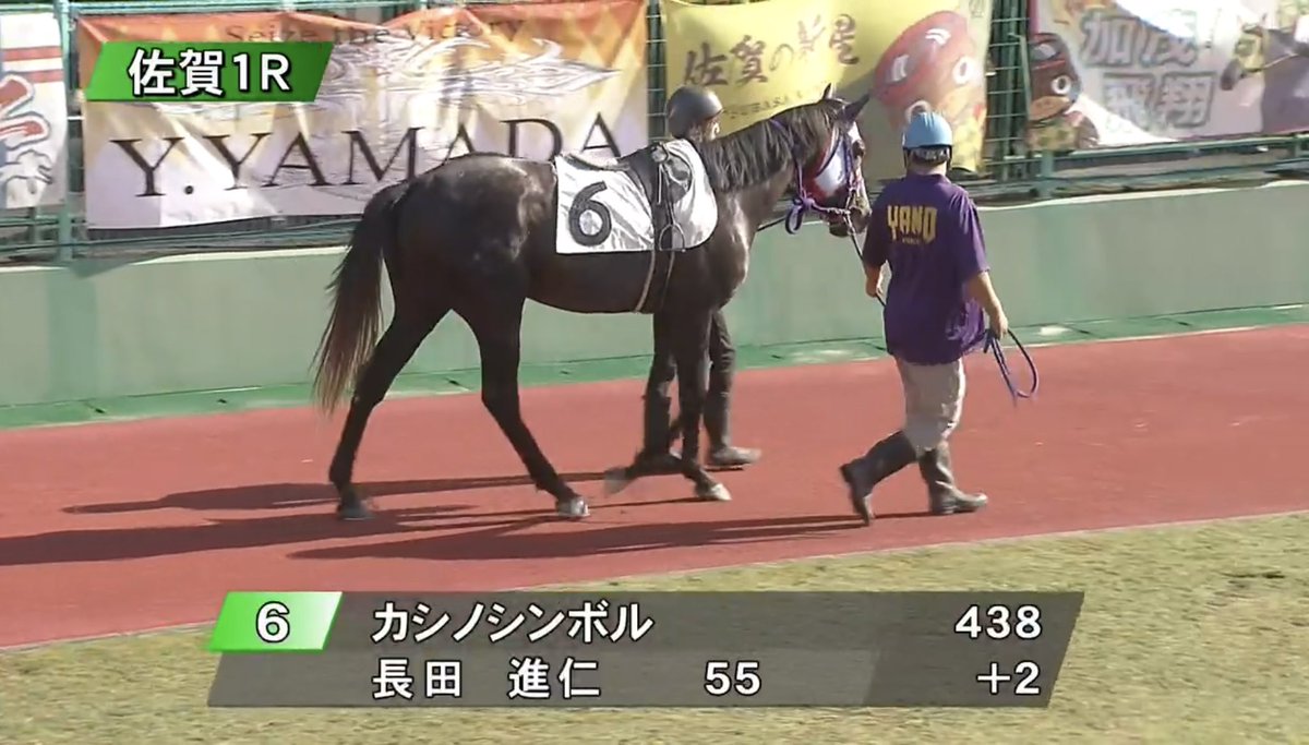 monti_25's tweet photo. ルーくん🥉
不良馬場でもよく頑張った！✨
お疲れ様😚

#カシノシンボル https://t.co/bmCQxhRvq3