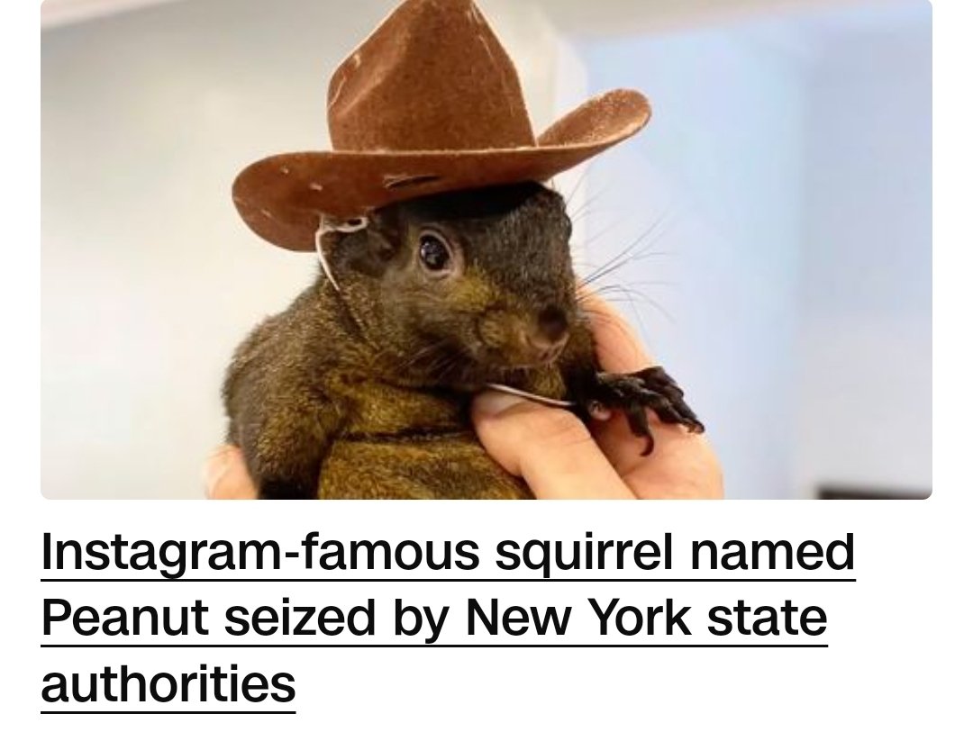 𝐃𝐄𝐕𝐎𝐍™ tweet media