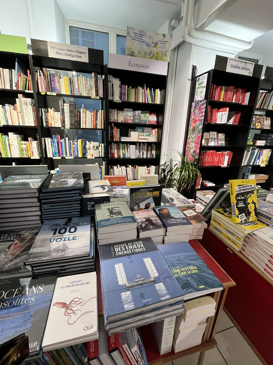 𝔻𝕠𝕞𝕚𝕟𝕚𝕢𝕦𝕖 𝕃𝕖𝕔𝕠𝕔𝕢 🌿 tweet media