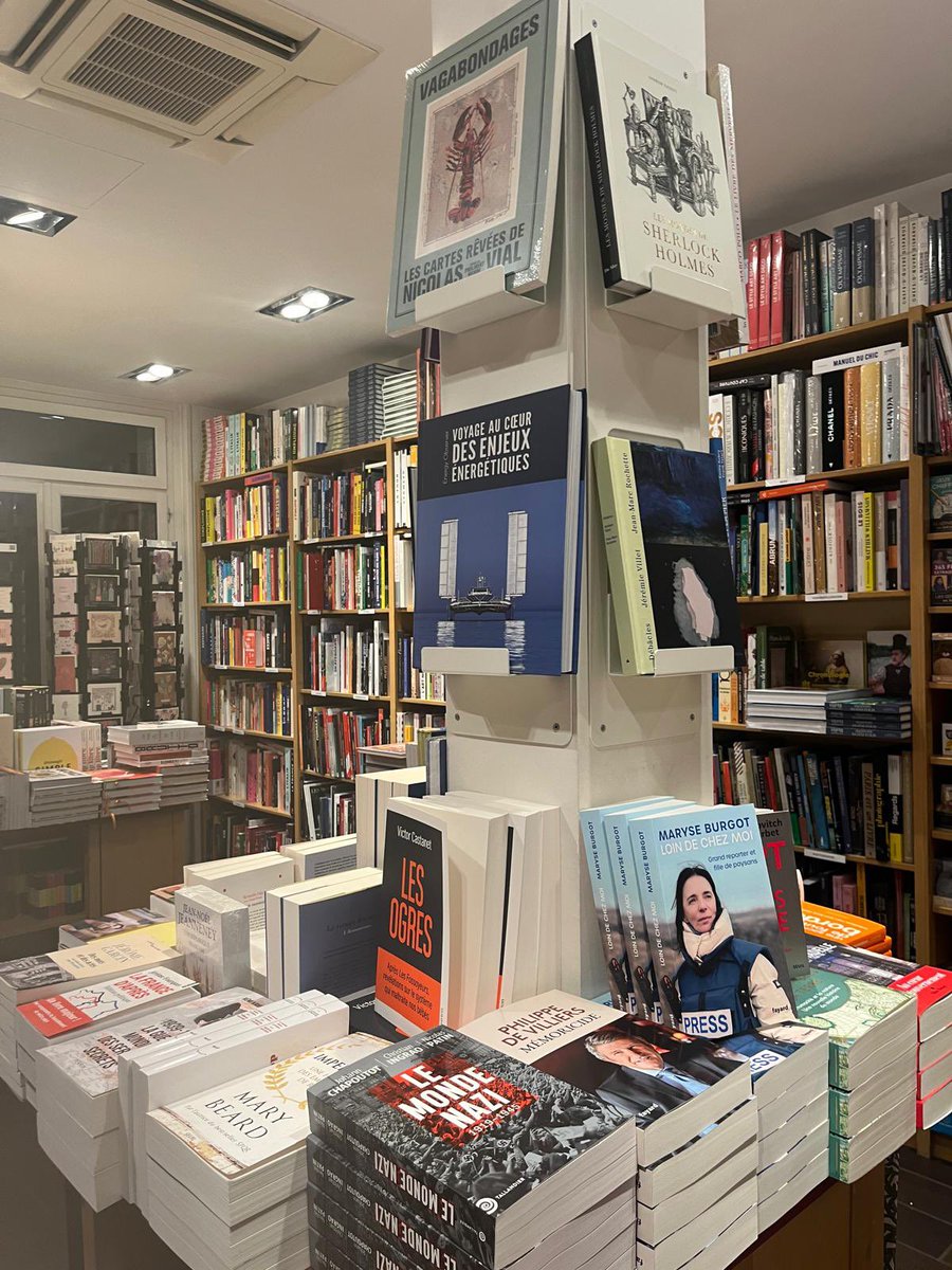 𝔻𝕠𝕞𝕚𝕟𝕚𝕢𝕦𝕖 𝕃𝕖𝕔𝕠𝕔𝕢 🌿 tweet media