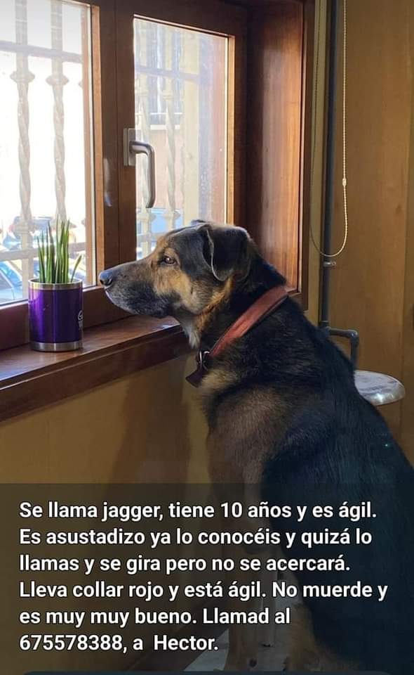 SOS Salvando Vidas España. tweet media