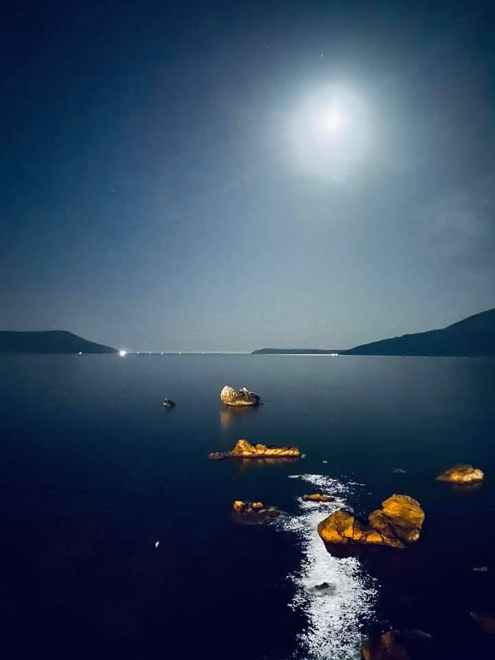 netservcaffe's tweet image. Ulaz u Boku