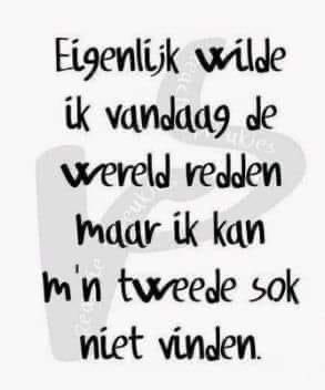 José 👩🏻🌾🐮🚜🎂🍰🍪🇳🇱🫖 tweet media