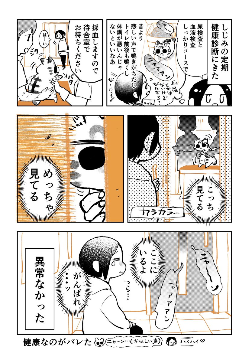 3本足のしじみちゃん226 