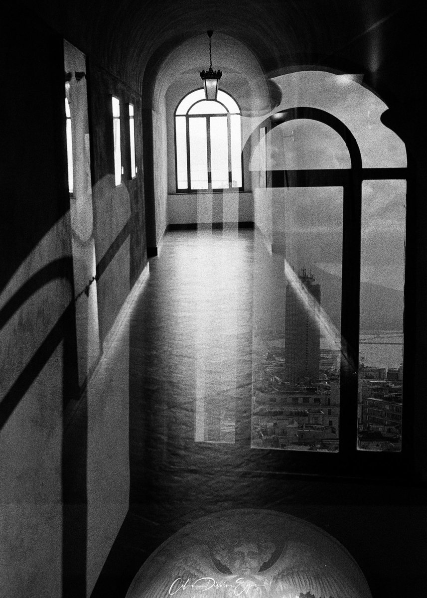 CelinePivoine's tweet photo. Naples - vue de la baie de l’intérieur de l’hôtel.
Argentique avec un Retina IIB.
Tireur : @laboajlphotos
#naples #argentiquephoto #celinepivoine #photographe #2024 #noretouch #retinaiib #retina2b #doubleexposition #noiretblanc
D’autres ici : https://t.co/dypaZtmARK https://t.co/spfvTauysl