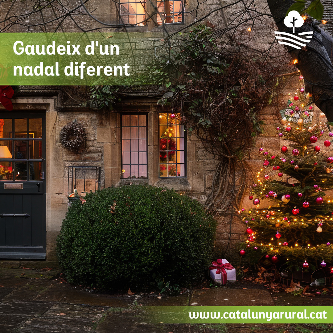 Nadal i Cap d'Any amb la millor companyia! 🎉 Gaudeix de vetllades úniques amb família i amics en un entorn rural relaxant i revitalitzant. Viu experiències inoblidables en plena natura!

#CatalunyaRural #NadalEnFamília #CapDAnyRural #EscapadaRural