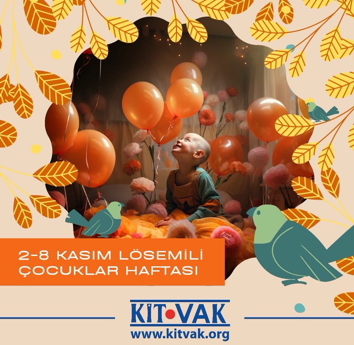 KİTVAK tweet media