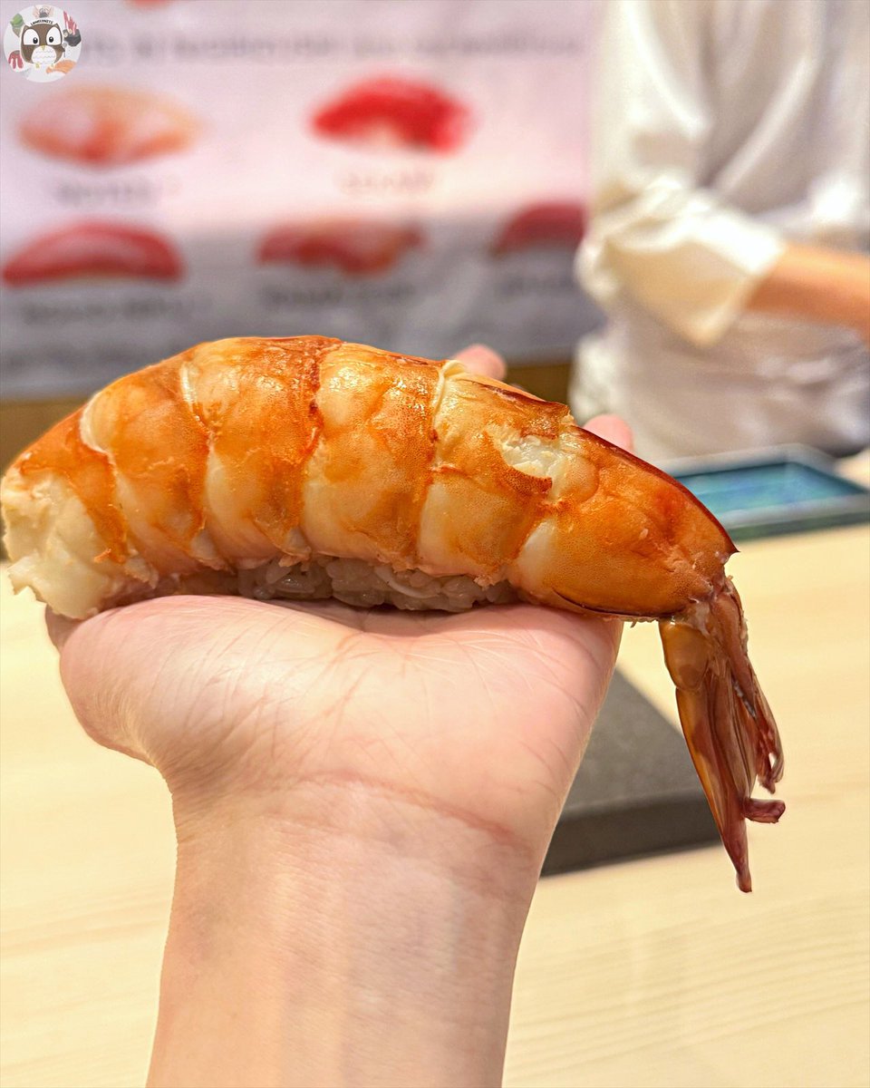 foodblogbkk's tweet photo. OMG ซูชิกุ้งยักษ์!😳 เคยลงร้านนี้ไปทีนึง ตอนนี้คือแมสแล้ว จองยากขึ้นมากๆ🥹 ล่าสุดกลับไปอีกครั้ง เมนูมาใหม่เต็มเลย สะดุดตากับชื่อเมนู Prawnzilla เชฟบอกเป็นกุ้งซุปเปอร์ยักษ์ ใหญ่กว่าเดิม ตอนมาถึงคือตกใจ ใหญ่จิงงงง!! เนื้อกรุบอร่อยมากกก🤤 ร้าน magari de sushiya kazu @aroii https://t.co/XFQ3WBEA8p