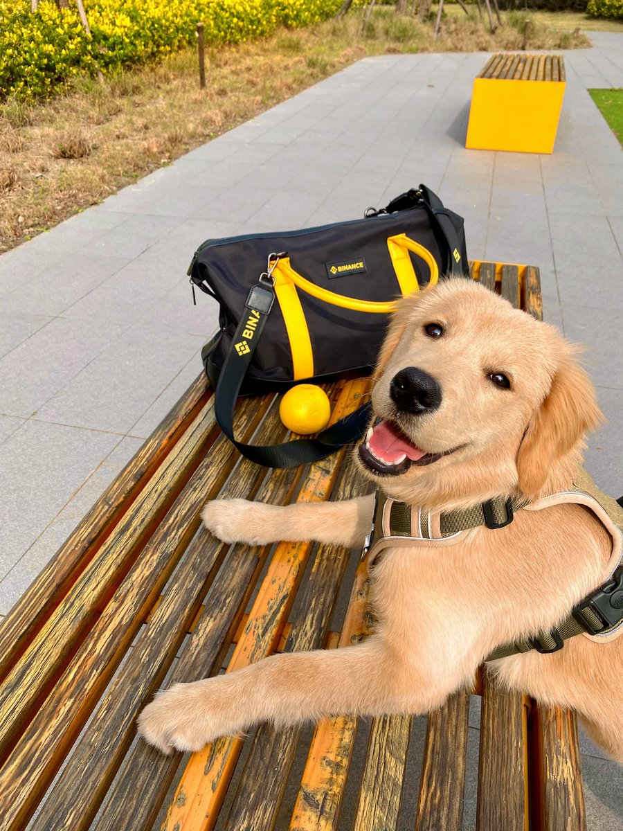 binance's tweet image. Gearing up for the weekend ahead!

📸 @milabinance