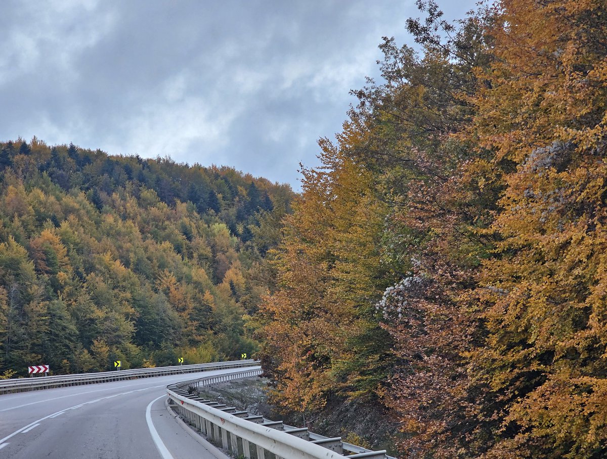 ..."Sonbahar SANATI'na" şahitlik ettik.