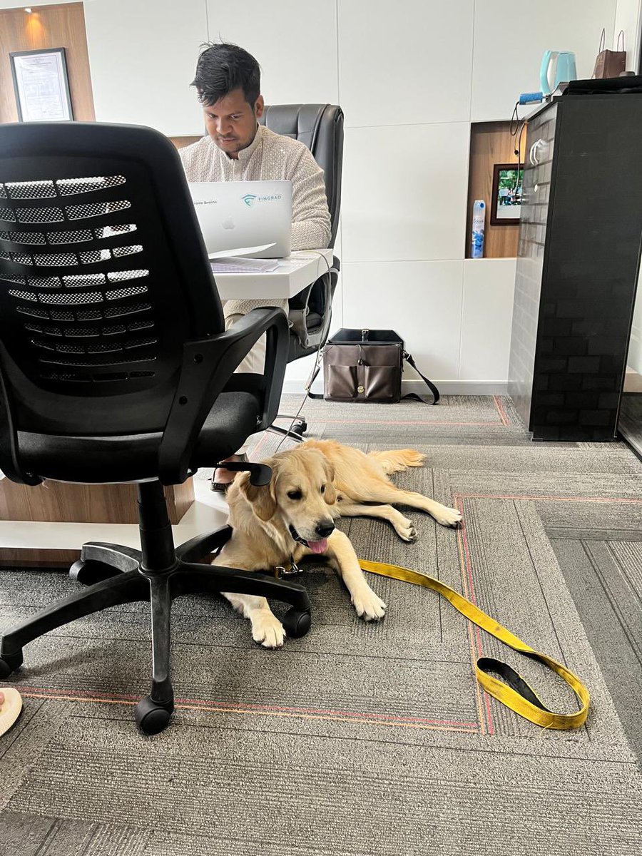 kriteshfinance's tweet image. Disco is not impressed by my office!😁😂 #petdog