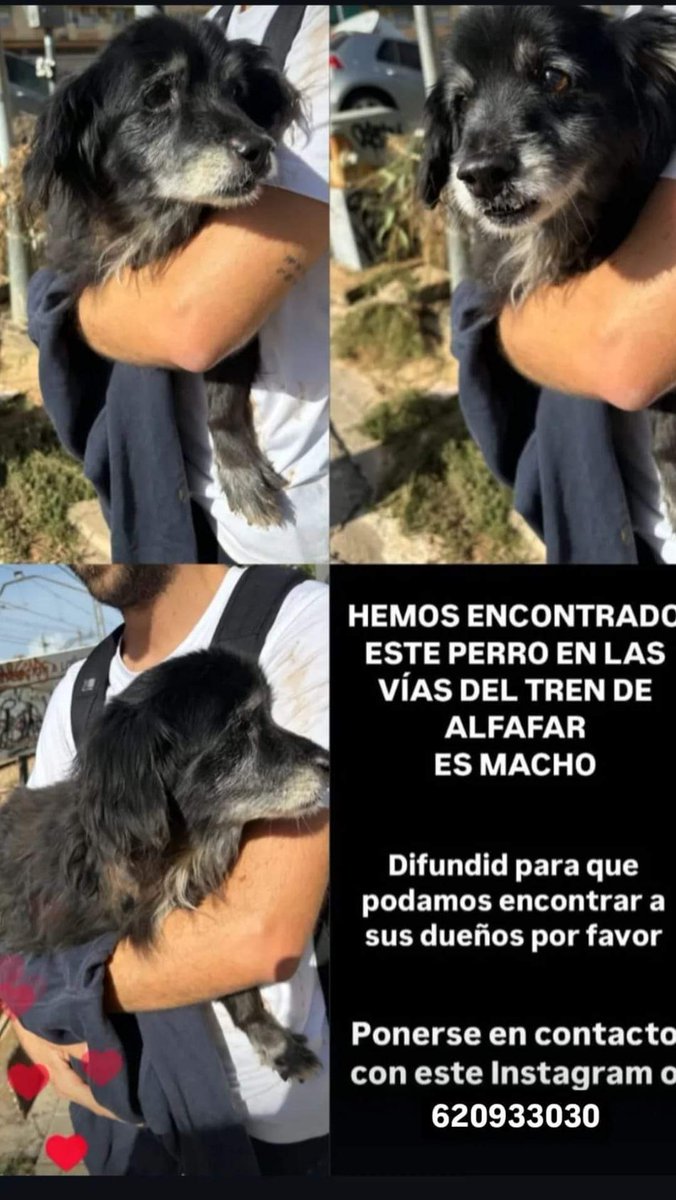 SOS Salvando Vidas España. tweet media
