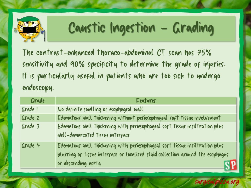 surgicalpizza's tweet image. #causticingestion injuries may also be classified according to #CTscan

To read more: surgicalpizza.org/emergency-surg…

#spbites 🍕 #Surgery #emergencysurgery #ACS #Education #MedTwitter #MedEd