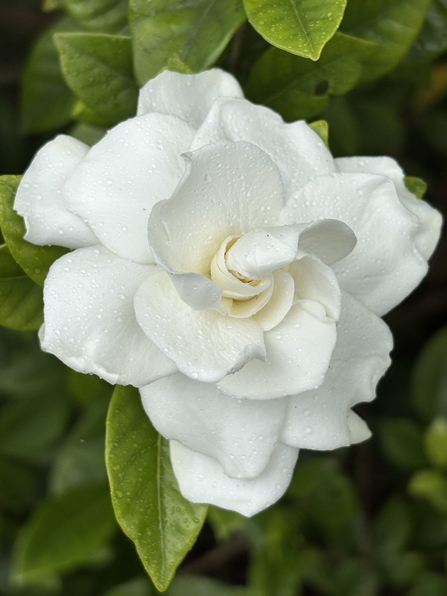 Christina Tonkin (@tonkinchristina) on Twitter photo 