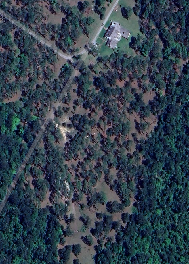 I found the location of the campsite scene in the First FNAF Movie take a look

#FNAF #FNAFMovie #fivenightsatfreddys