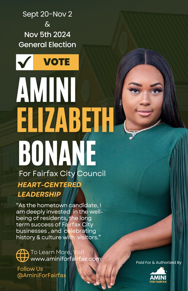 Amini For Fairfax tweet media