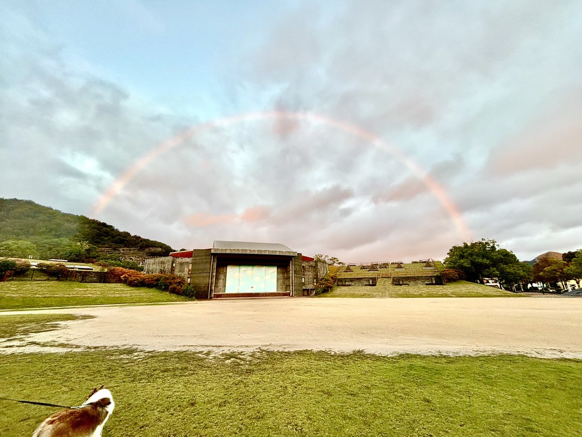 散歩中に虹がでてました😊