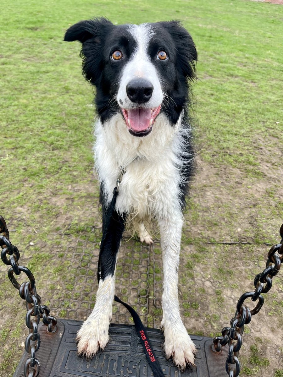 Time for a quick swing 👍