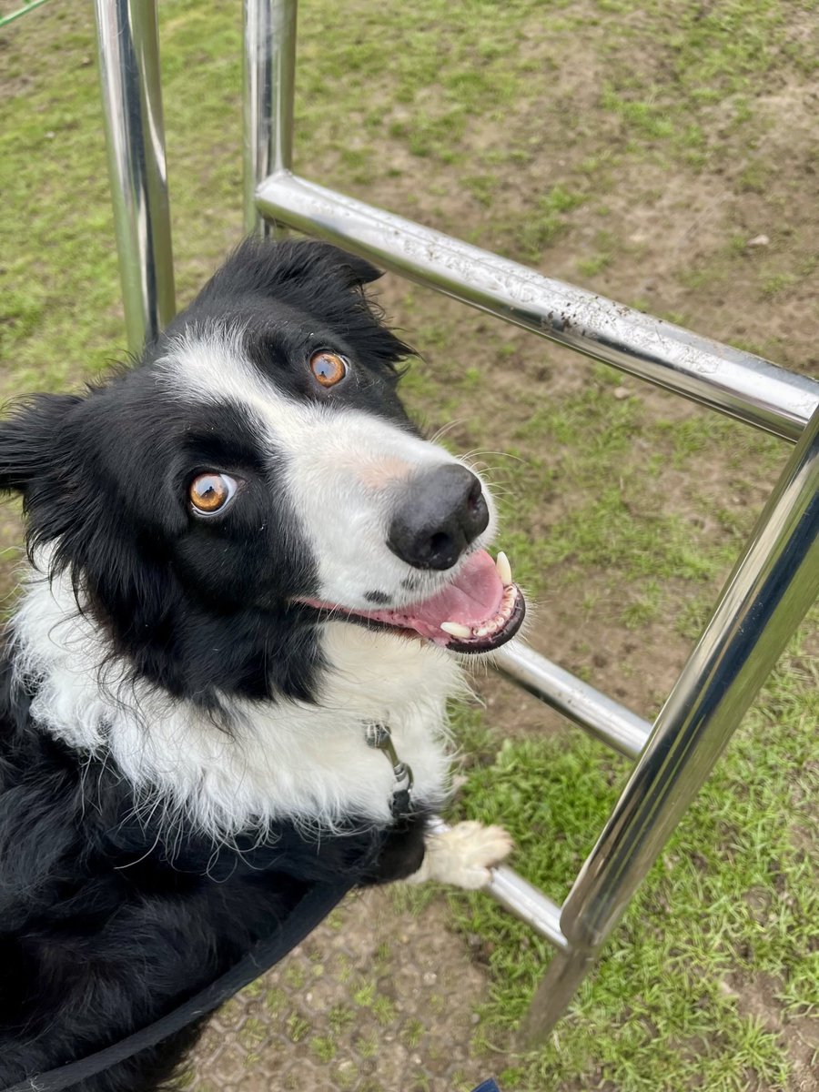 Please can I have a go on the slide 😉😊🥳