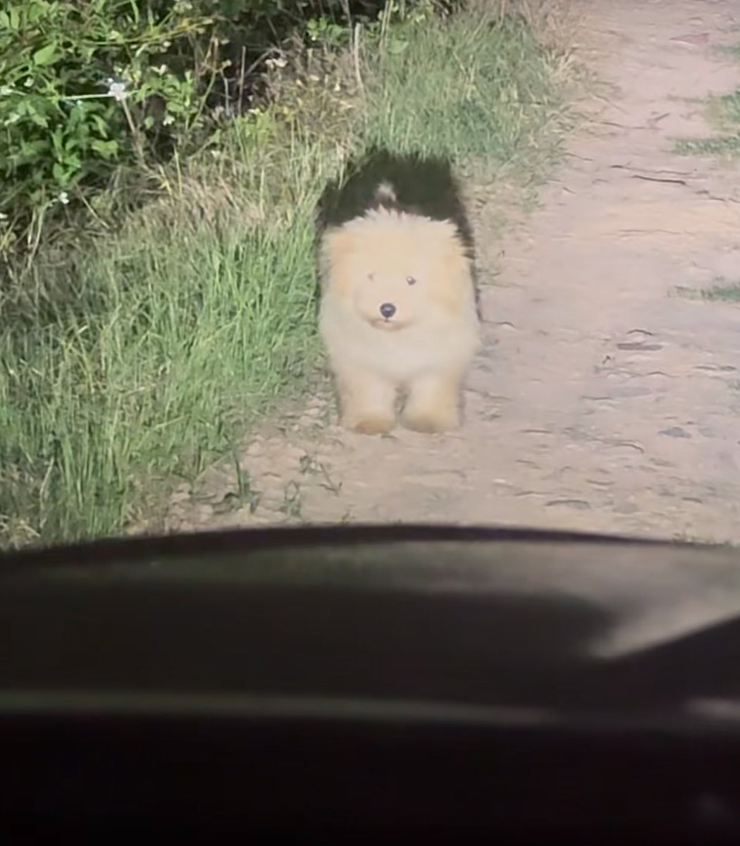 พี่เห้นผมด้วยหรอ