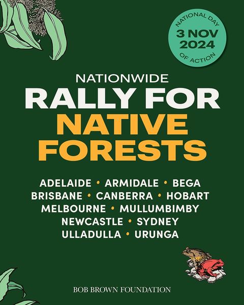 alliance_forest's tweet photo. TOMORROW we RALLY FOR NATIVE FORESTS with @bobbrownfoundation 🌿🌳
RSVP for your nearest rally ➡️ https://t.co/7K8xGXGUEG
#Rallyforforests #VoteForests https://t.co/AIBhkA91Dv