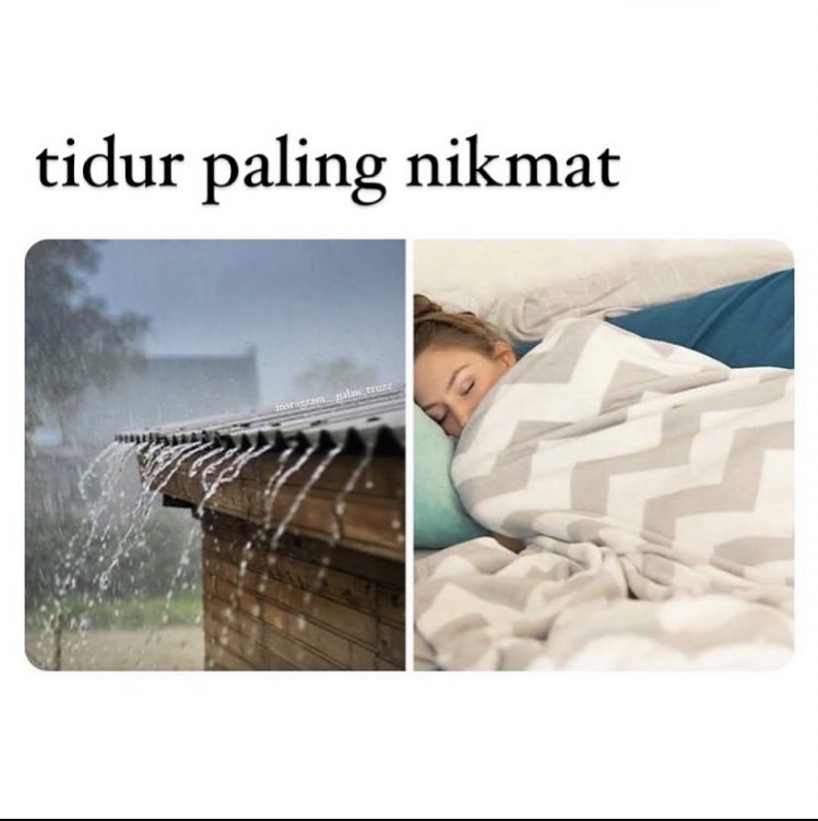 teh miw 🦢 (@swanlakqes) on Twitter photo 