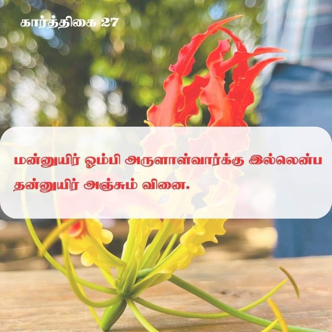 Yasinthan kandasamy (@yasinthank) on Twitter photo 