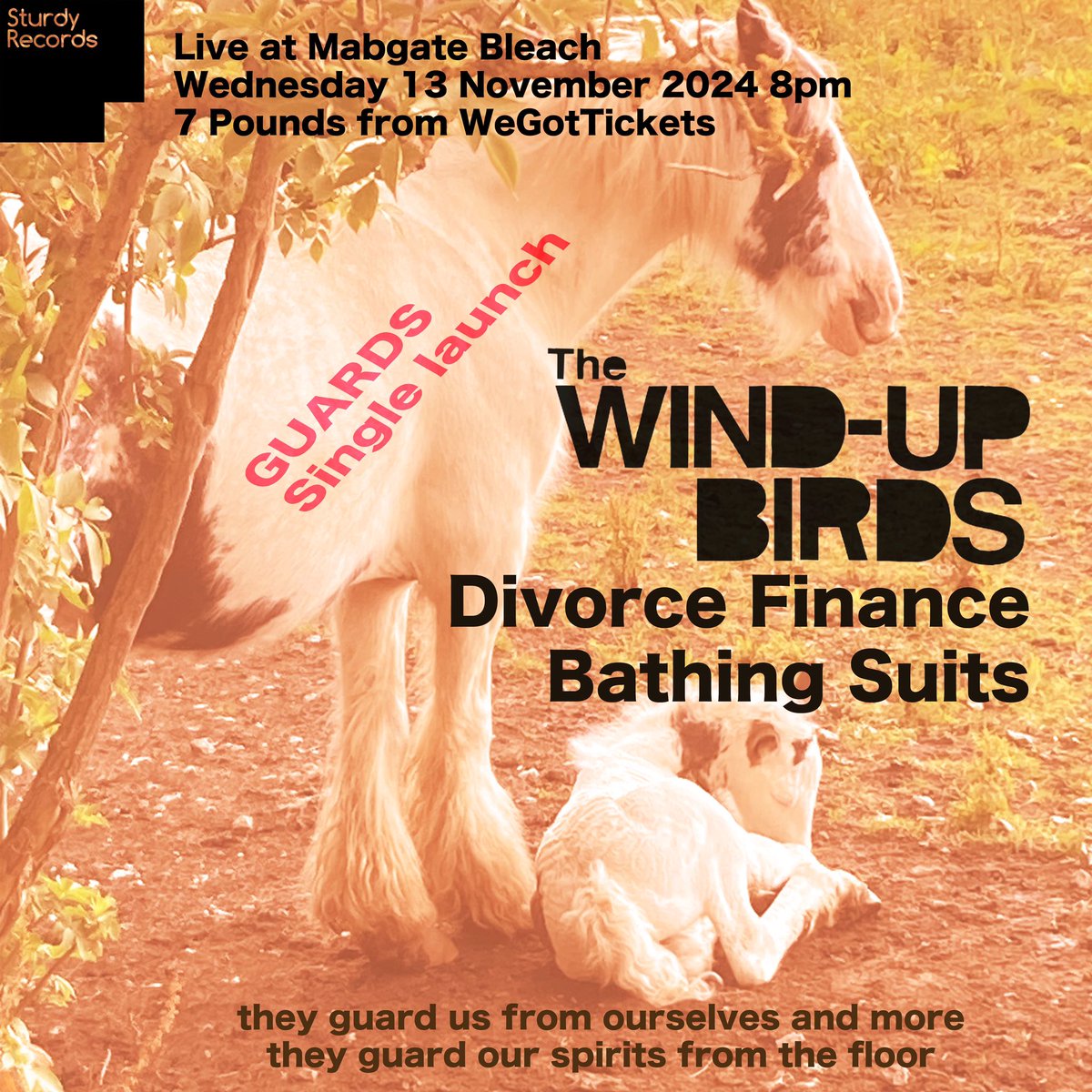 SturdyRecords's tweet image. The Wind-up Birds's new single Guards is out in 2 weeks - come to the launch gig at @Mabgatebleach on Wed 13th Nov with @divorcefinance_ and Bathing Suits, it'll be ace wegottickets.com/event/636931