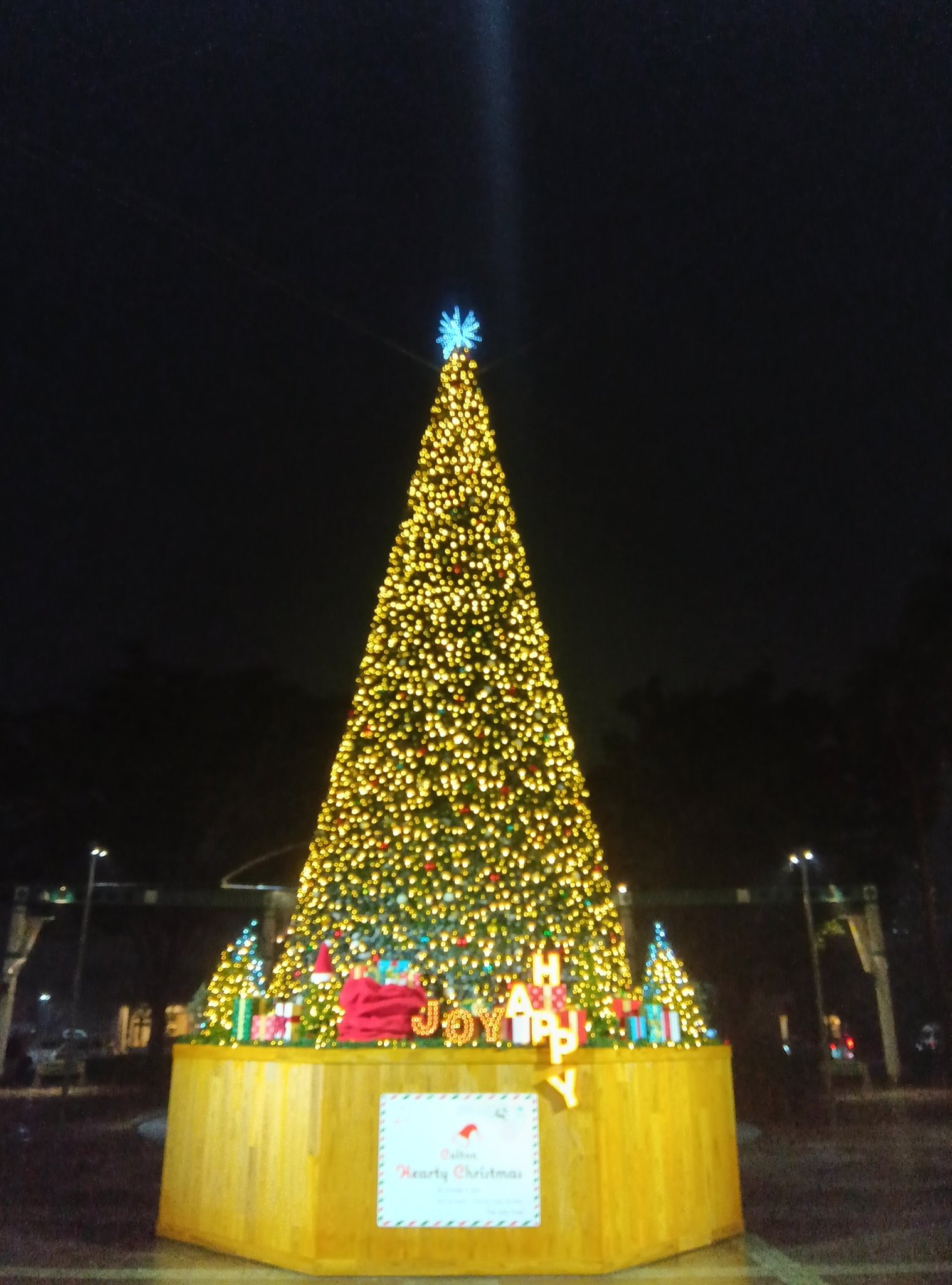 ⚫︎【動作確認済み・激レア】ポケモン クリスマスツリー プラスル