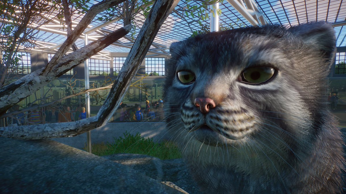 Paleo_Pizza's tweet photo. Today I’ve made my first enclosure for the Pallas Cat, from the Zookeepers animal pack.
https://t.co/J3WjtIqYpI
🦒 - @PlanetZooGame
#planetzoo
#planetzoogame
#planetzoobuilds
#gaming https://t.co/BxlYmtm2Id