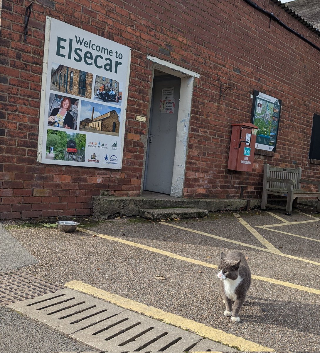 #Introduction The Elsecat ™️ is looking forward to welcoming you to Elsecar Heritage Centre this weekend #Caturday #Museum30