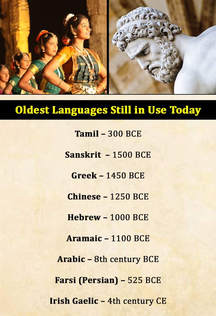 SHOONNYAA's tweet image. Oldest Language still in use..
#Tamil #Sanskrit 
#OldestLanguage 
#GrandeFratello