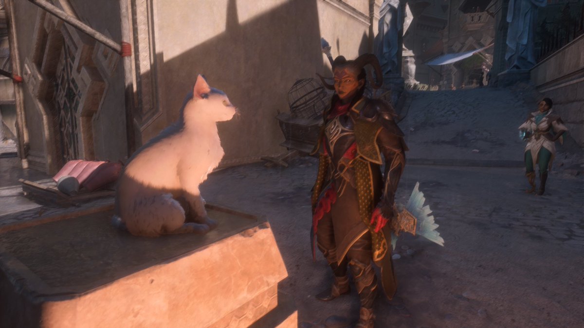 ADLegend21's tweet photo. Iron Dragon loves her some Cats #RookReveal #DragonAgeVeilguard https://t.co/MdprHEoJik