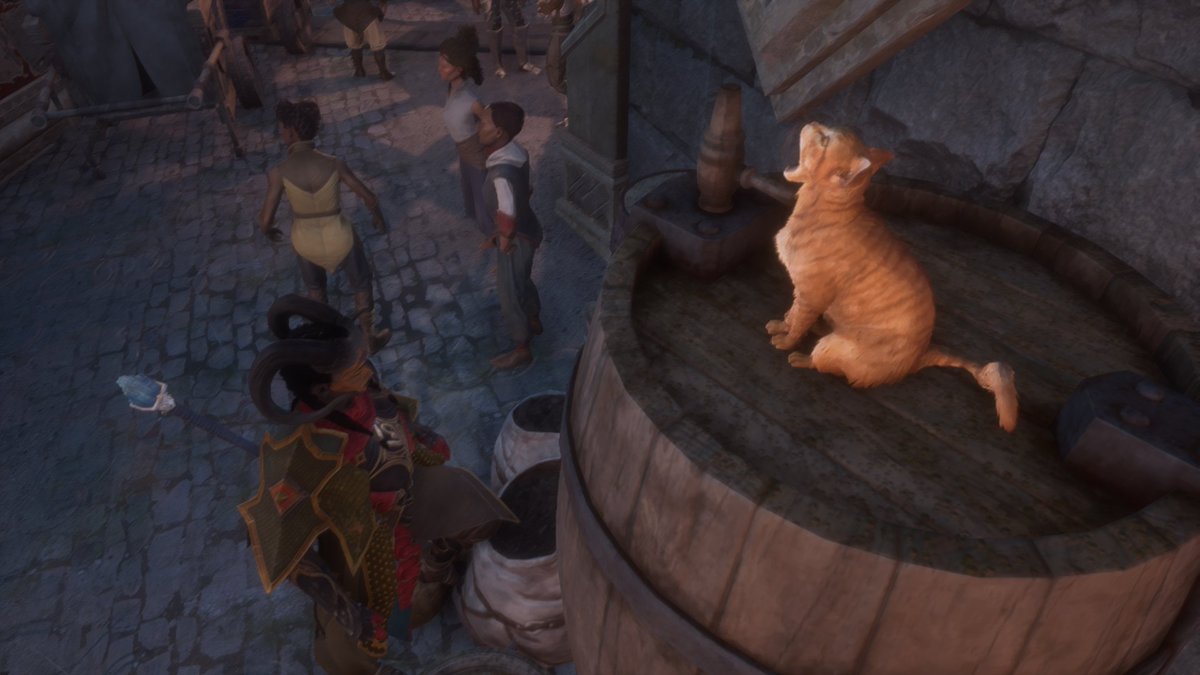 ADLegend21's tweet photo. Iron Dragon loves her some Cats #RookReveal #DragonAgeVeilguard https://t.co/MdprHEoJik